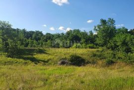 ISTRA, LABIN - Zemljište s građevinskom dozvolom, zadnje u zoni gradnje, Labin, Land