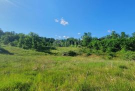 ISTRA, LABIN - Zemljište s građevinskom dozvolom, zadnje u zoni gradnje, Labin, Земля