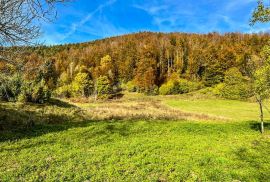 GORSKI KOTAR, MRKOPALJ-Starina s velikim zemljištem za investiciju, Mrkopalj, Casa