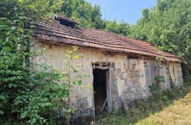 OTOČAC - Brloška Dubrava - kuća i okućnica 12.315 m2 u komadu, Otočac, Haus