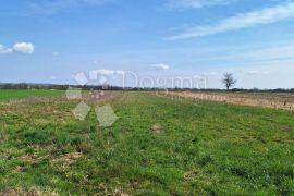 ZEMLJIŠTE ZA SOLARE SA SVOM DOKUMENTACIJOM, Mursko Središće, Land