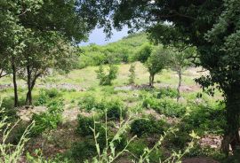 Građevinsko zemljište s pogledom na more, Načinovići, Istra, Kršan, Land