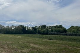 Istra, Umag - okolica - atraktivno poljoprivredno zemljište okruženo zelenilom, Umag, Terrain