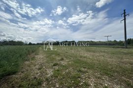 Istra, Umag - okolica - atraktivno poljoprivredno zemljište okruženo zelenilom, Umag, Land