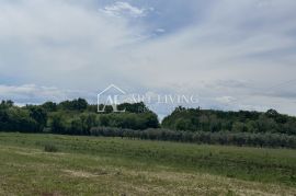 Istra, Umag - okolica -  poljoprivredno zemljište nedaleko od Umaga, Umag, Zemljište