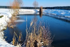 Ribnjak i poljoprivredno zemljište - Darda, Darda, Terrain