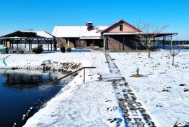 Ribnjak i poljoprivredno zemljište - Darda, Darda, Terrain