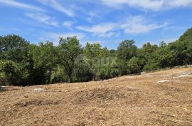 ISTRA, ROVINJ - Prostrano građevinsko zemljište, Rovinj, Terreno