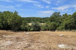 ISTRA, ROVINJ - Prostrano građevinsko zemljište, Rovinj, Terreno