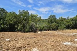 ISTRA, ROVINJ - Prostrano građevinsko zemljište, Rovinj, Terreno