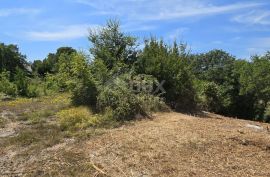 ISTRA, ROVINJ - Prostrano građevinsko zemljište, Rovinj, Terreno