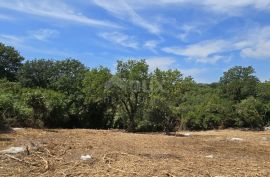 ISTRA, ROVINJ - Prostrano građevinsko zemljište, Rovinj, Terrain