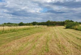 ISTRA, LIŽNJAN Građevinsko zemljište u Muntiću 900 m2, Ližnjan, Tierra