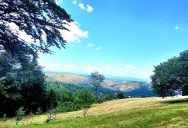 Zlatibor, Plac  1174m2 /Očka gora/ Zove/ Preporuka, Čajetina, Arazi