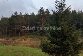 Prelep plac od 60a, Zlatibor, naselje Zova, kod Zlatiborskih konaka, Čajetina, Land