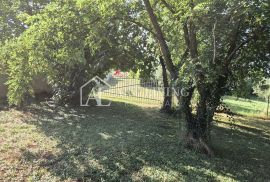 Istra, Poreč, okolica- šarmantna renovirana autohtona istarska kuća sa građevinskim zemljištem, Poreč, Ev