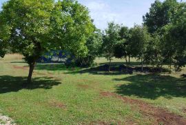 Istra, poljoprivredno zemljište u blizini centra Rovinja, Rovinj, Tierra