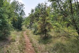 Prostrano zemljište pravilnog oblika na kraju sela, Barban, Terrain