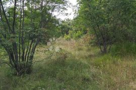 Prostrano zemljište pravilnog oblika na kraju sela, Barban, Terra