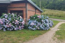 Obiteljska kuća u Starigradu, Koprivnica: Vaša oaza mira, Koprivnica - Okolica, Дом