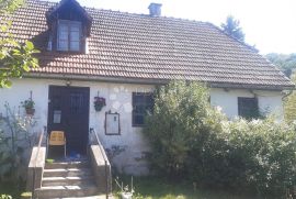 Imanje u Vrbovskom,  kuće,  šuma i livade., Vrbovsko, Kuća
