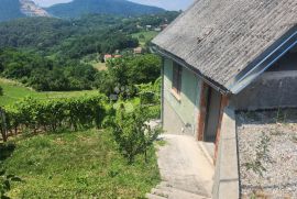 Kljet 50m² sa vinogradom u okolici Pregrade, Pregrada, Famiglia