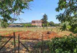 Povoljno građevinsko zemljište u Loborici!, Marčana, Terreno