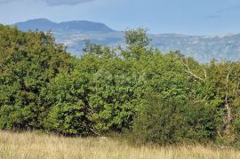 ISTRA, PIĆAN - Prekrasan kompleks građevinskog i poljoprivrednog zemljišta, pogled na Učku - potpuna privatnost, Pićan, Terreno