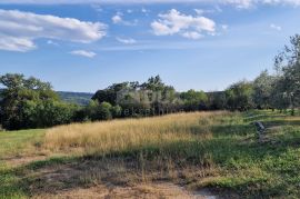 ISTRA, PIĆAN - Prekrasan kompleks građevinskog i poljoprivrednog zemljišta, pogled na Učku - potpuna privatnost, Pićan, Zemljište