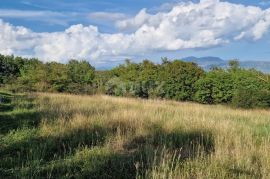 ISTRA, PIĆAN - Prekrasan kompleks građevinskog i poljoprivrednog zemljišta, pogled na Učku - potpuna privatnost, Pićan, Tierra