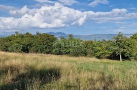 ISTRA, PIĆAN - Prekrasan kompleks građevinskog i poljoprivrednog zemljišta, pogled na Učku - potpuna privatnost, Pićan, Land