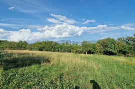 ISTRA, PIĆAN - Prekrasan kompleks građevinskog i poljoprivrednog zemljišta, pogled na Učku - potpuna privatnost, Pićan, Land