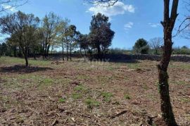 ISTRA, RAKALJ - Poljoprivredno zeljište na top lokaciji, Marčana, Land