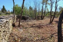 ISTRA, RAKALJ - Poljoprivredno zeljište na top lokaciji, Marčana, Terreno