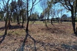 ISTRA, RAKALJ - Građevinsko zemljište sa pogledom na more, Marčana, Terra