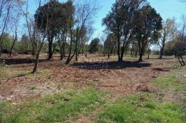 ISTRA, RAKALJ - Građevinsko zemljište sa pogledom na more, Marčana, Terra