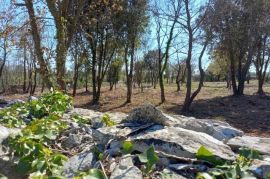 ISTRA, RAKALJ - Građevinsko zemljište sa pogledom na more, Marčana, Land