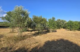 ISTRA, KAVRAN - Građevinsko zemljište s pogledom na more, s 3 strane okružena poljoprivrednim površinama, Marčana, Land