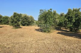 ISTRA, KAVRAN - Građevinsko zemljište s pogledom na more, s 3 strane okružena poljoprivrednim površinama, Marčana, Zemljište