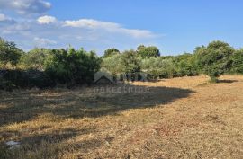 ISTRA, KAVRAN - Građevinsko zemljište s pogledom na more, s 3 strane okružena poljoprivrednim površinama, Marčana, Arazi