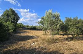 ISTRA, KAVRAN - Građevinsko zemljište s pogledom na more, s 3 strane okružena poljoprivrednim površinama, Marčana, Terrain