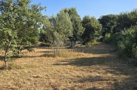 ISTRA, KAVRAN - Građevinsko zemljište s pogledom na more, s 3 strane okružena poljoprivrednim površinama, Marčana, Terrain