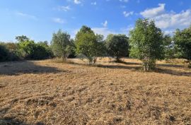 ISTRA, KAVRAN - Građevinsko zemljište s pogledom na more, s 3 strane okružena poljoprivrednim površinama, Marčana, Arazi