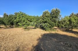 ISTRA, KAVRAN - Građevinsko zemljište s pogledom na more, s 3 strane okružena poljoprivrednim površinama, Marčana, Terrain