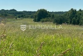 Istra, Barban, građevinsko zemljište za investiciju, Barban, Land