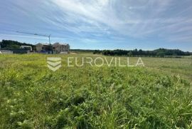 Istra, Barban, građevinsko zemljište za investiciju, Barban, Land