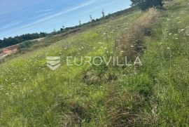 Istra, Barban, građevinsko zemljište za investiciju, Barban, Land