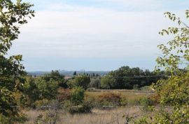 Poljoprivredno zemljište Prodaje se  poljoprivredno zemljište,  Galižana, Vodnjan, Terrain