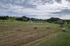 ISTRA, PIĆAN - Građevinsko zemljište pogodno za investitore, Pićan, Land