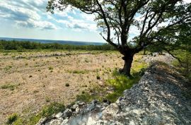 LABIN, SV. LOVREČ, VLAKOVO - građevinski teren 8600m2 za hotel /boutique hotel/ obiteljsku kuću/ villu/ apartmane/ kuću za iznajmljivanje sa bazenom/ kuću za odmor sa bazenom, Raša, Terrain